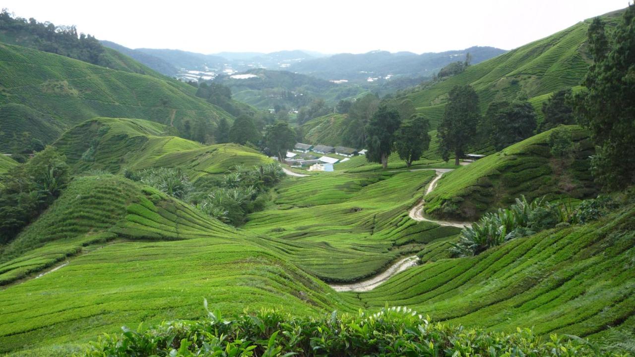 The Quintet Cameron Highlands By Tulip Танах-Рата Экстерьер фото
